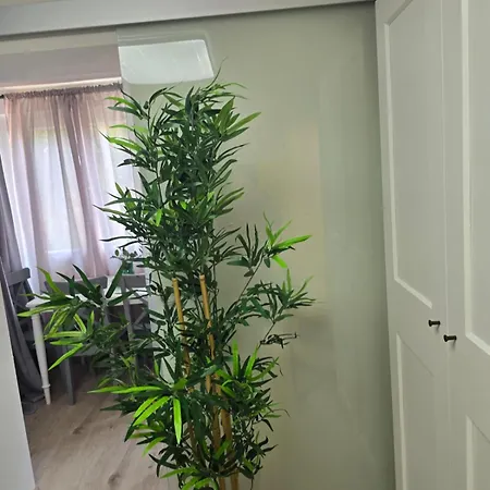 Apartment Paloma Natural Greenary Vir